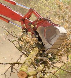 Leicester Tree Services