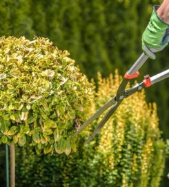 Leicester Tree Services