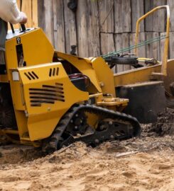 Nottingham Tree Surgeons